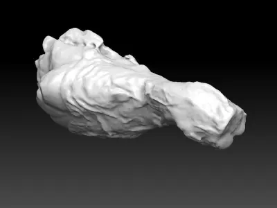 Chicken Drumstick 3D model