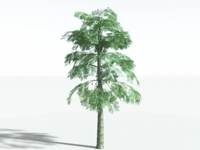 EVERYPlant Alethopteris Seed Fern LowPoly 1 --12 Models-- Low-poly 3D model