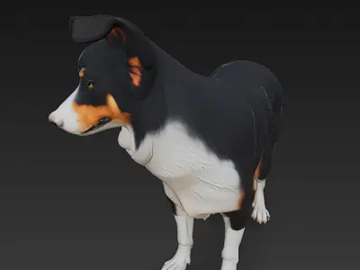 Border Collie Dog Realistic 3D Model - Low Poly Realistic Low-poly 3D model