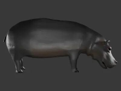 Hippopotamus 3D Model Rigged and Animated Low-poly 3D model