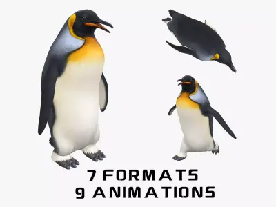 Animated penguin 3D model