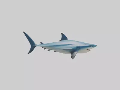 Thresher Shark circling model Low-poly 3D model