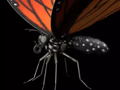 Butterfly Insect Low-poly 3D model