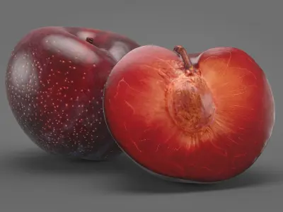 Plum 02 3D model