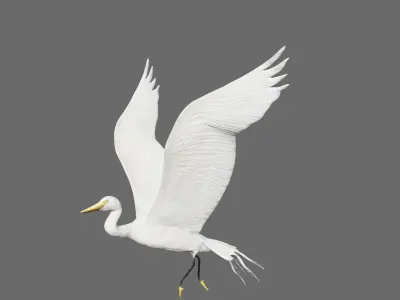 Egret flying in sky Low-poly 3D model