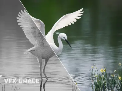 Egret Animated VFX Grace 3D model