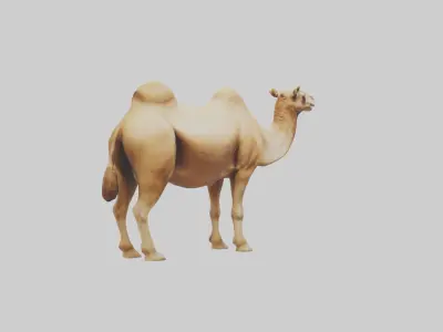 Camel Humps Model Low-poly 3D model