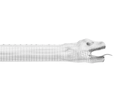 Snake 3D model