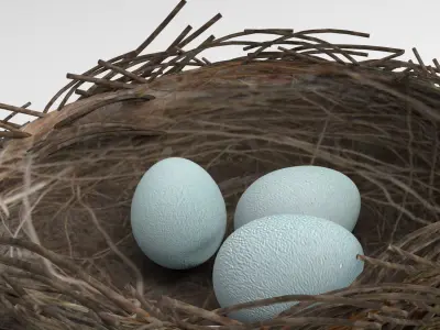 Bird Nest 3D Unity Low-poly 3D model