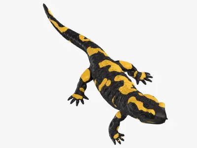 Salamander Standing 3D model