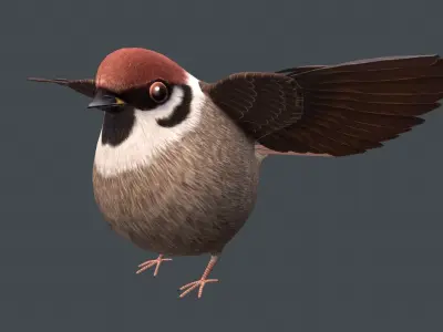 Sparrow bird Low-poly 3D model