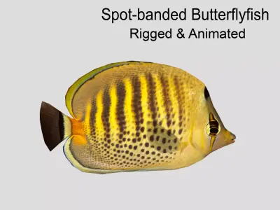 Butterflyfish Low-poly 3D model