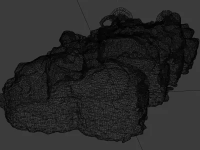 Rolls with tuna salmon and cornsalad or lambs lettuce 3D model