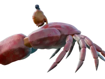 Cute Realist Cartoon Crab Game-Ready and Animated 3D model