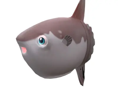Mola Mola Animated Fish  Low-poly 3D model