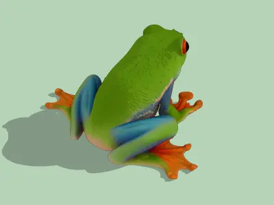 Tree frog Low-poly 3D model
