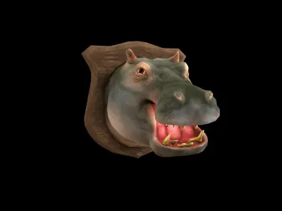 Hippopotamus - Hippo - Head - PBR - Textured Low-poly 3D model