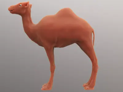 Camel Sculpt  3D model