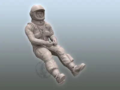 SR-71 Blackbird Pilot 3D print model