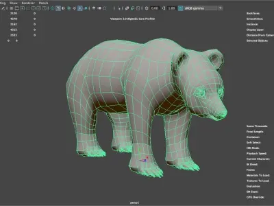 Wild bear called Bear-d 3D model