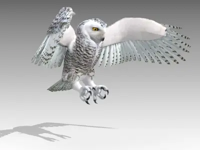 Snowy Owl Low-poly 3D model