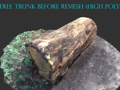 3D sawn of tree part 2 Low-poly 3D model