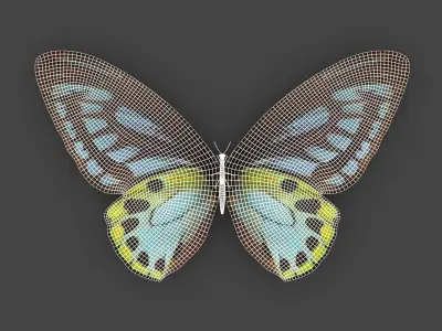 BFLY-004 Butterfly 3D model