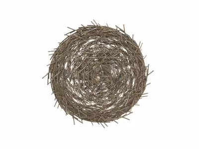 Bird nest v2 3D model