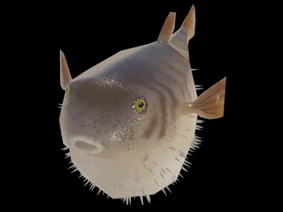 Low Poly Puffer Fish 3D model Low-poly 3D model