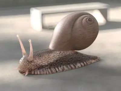 Snail insect Low-poly 3D model