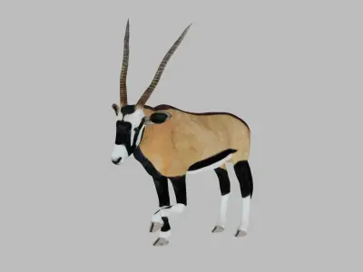 Oryx Antelope Low-poly 3D model