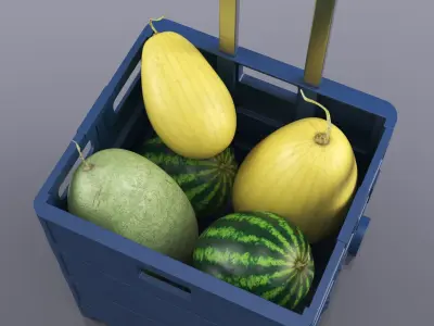 Portable Cart Case with Melons and Watermelons 3D model
