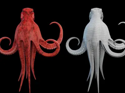 Animated Octopus Low-poly 3D model