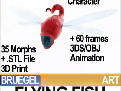 Bruegel Flying Fish Poser Daz Animation Stl 3D model