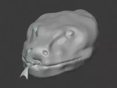 Snake Head 3D model