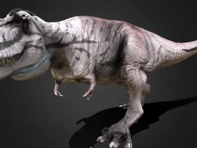 Albertosaurus The Swift Tyrant of the North Low-poly 3D model