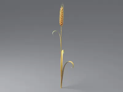 Cartoon Wheat Spikelet 03 3D model