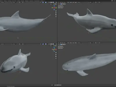 Vaquita Low-poly 3D model