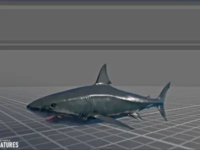 Sea Creatures - Shark dolphin stingray and turtle 3D model