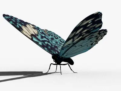 Butterfly Blue Cracker 3D model