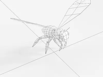 Honey Bee 3d model  Low-poly 3D model
