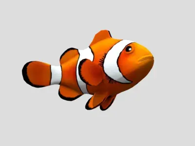 Clownfish Realistic Animated Low-poly 3D model