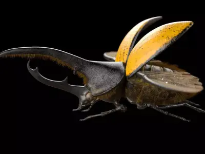 Hercules Beetle Insect Low-poly 3D model