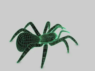 Spider 3d Model 3D model