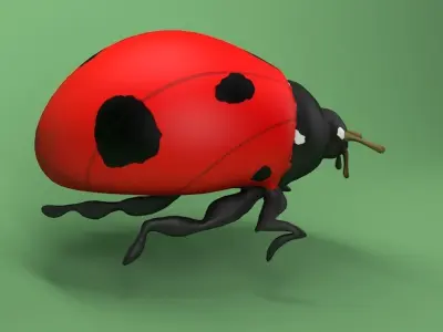 Ladybug Coccinellidae LOWPOLY Low-poly 3D model