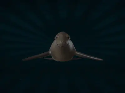 SEAL-001 Rigged Seal 3D model