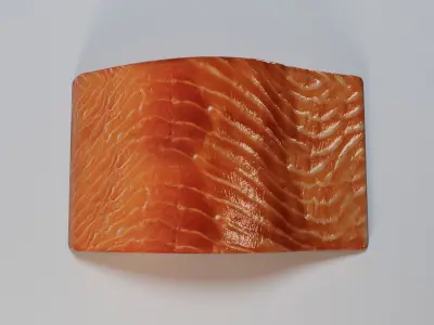 Salmon Fillet 3D model