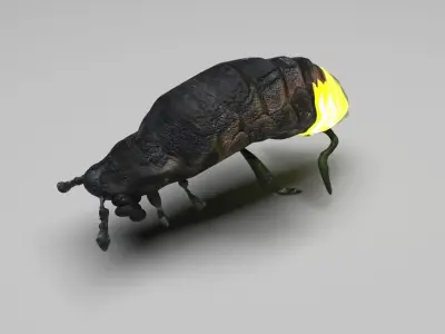 Glow Worm 3D model