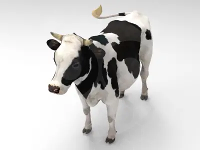 White Cow - Rigged - Animated 3D model