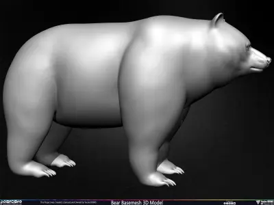 Bear Basemesh 3D Model Low-poly 3D model